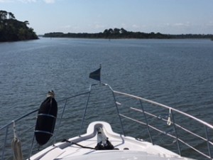 We saw lots of wide open spaces after leaving St. Augustine. Amazingly, we've seen just one piece of litter (a coffee cup that we generously decided had inadvertently blown off a boat) in the unpeopled parts of the ICW.