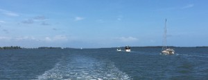Here is a parade of boats headed north. When you think of how long the ICW is just along Florida's east coast is (xxxx miles), it is pretty amazing that this many boats ends up all in a row!